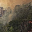 대구산불, &#39;비화 현상&#39;에 급속 확산…최악 경북산불 판박이 이미지