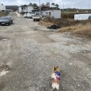 옥녀봉 낚시터 이미지