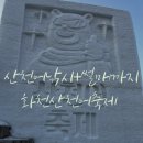 [화천 탐험기록] 겨울 축제 끝판왕｜화천 산천어축제(산천어낚시+썰매) 후기