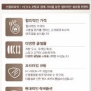 모토호야