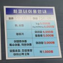 도깨비 낚시터 이미지