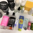 덴클린 씨 | 내돈내산 다쓴후기) 2025. 12월 화장품 결산 / 러쉬...맥스클리닉,바세린, 클로브덴, 오스템, 로로벨