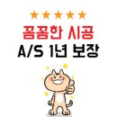 진흥세탁 | <타일의정석> 용인 타일시공 덧방시공 업체 전문 추천 후기 비용 견적