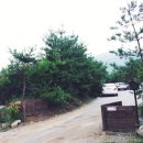 마운틴관광농원 이미지