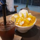 초밥심