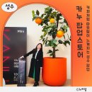 환영장 | 성수 카누팝업 스토어 현장대기 입장 후기 및 꿀팁( + 예약링크)