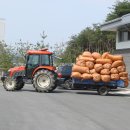 장수목장2 이미지