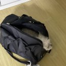 24시알파동물메디컬센터 이미지