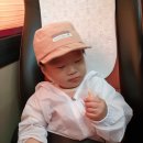 시우목장 이미지