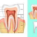 금왕연합치과의원 이미지