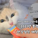 똥괭이네 21마리 고양이 건강검진비용 이미지