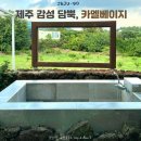 제주 서귀포의 감성숙소, 카멜베이지