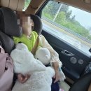 25.05 가평 아난티/아난티 코드/