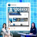 [공지] 효가 살아가는 물 속 세상 - 스위머, 효에 대해 알아가기