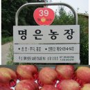 명은농장 이미지