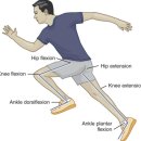 스프린트 PT | 스프린트 메커니즘 적응 및 훈련의 중요성 / 선수트레이닝PT, 배곧PT