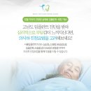팔마로 이미지