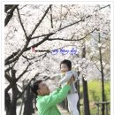 창원대로 이미지