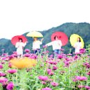 산소카폐 청송정원 (1) 이미지