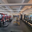 스타빌리 이미지