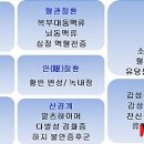 천일헬스 이미지