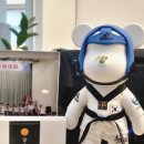 충효태권도(한들물빛관) 이미지