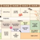 일정 이미지