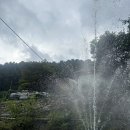 돌고개늘품 | 장흥 백숙 맛집 계곡식당 돌고개늘품 애견동반가능