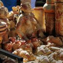 비야농장 이미지