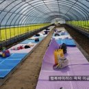 소민농장 이미지