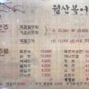 월산복어 이미지