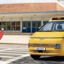 데일리카케어 이미지