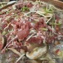 수정양지-A-1 이미지