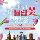 튤립 - 해운대구 세실로 137 | 튤립