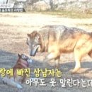 플레이라움(PLAYRAUM) 이미지