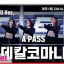 합기도(BK)본부도장 이미지