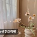 26470-01-21-312 | 오늘산후조리원 오늘산후조리원, 친절한 서비스가 인상적