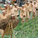 제주농요 이미지