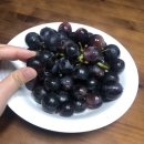 현정농장 이미지