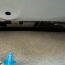 로고스카센타 이미지