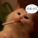2024년 2월의 시작은 뭐랄까..? 너무 돼지런 했달까…?