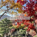 석성로888번길 | 서울근교 가을단풍명소[화담숲]｜예약·주차·모노레일·단풍절정시기·근처맛집까지!