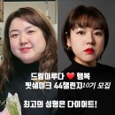 인셀덤송악