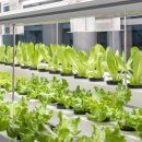 형식농장 이미지