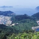 사랑나무공동체 이미지