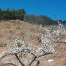 선유농장 이미지