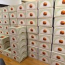 못 | [대전] 성심당 롯데백화점 대전점 빵 종류 케이크 못산 후기