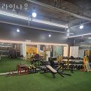 라잇나우 네이버블로그