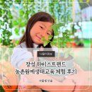 장성 하비스트랜드 체험 후기