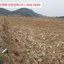 포항시북구94 이미지